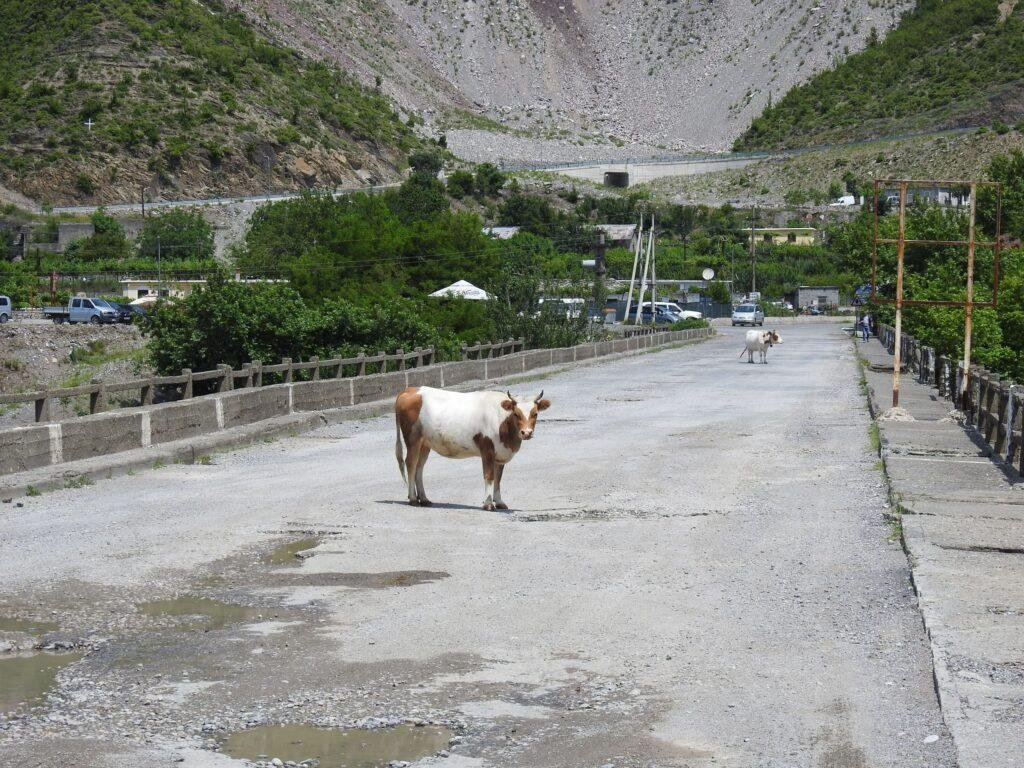 Road to get to Komani lake